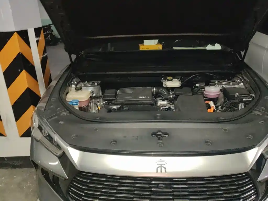 BYD Pro New Energy — миниатюра 21