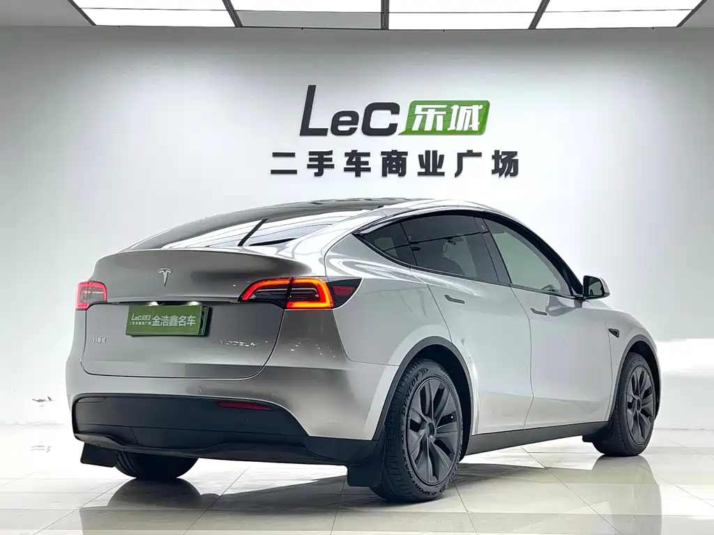 Tesla Model Y — миниатюра 19