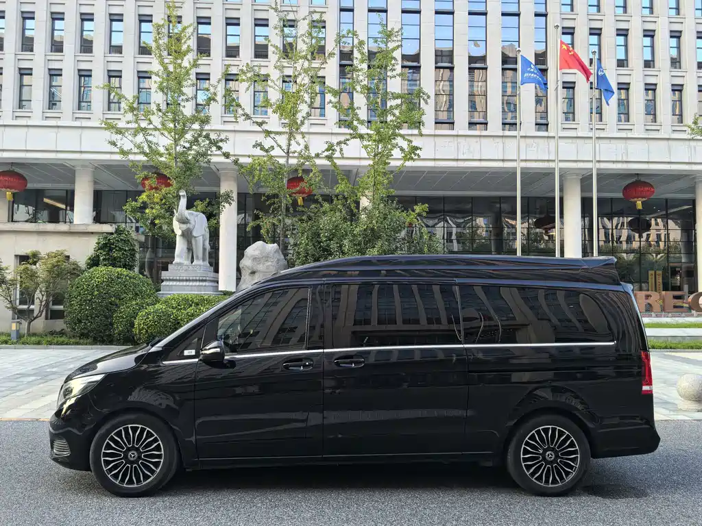 Mercedes-Benz V-Class V 260 L Premium Extended Edition China VI, фото 2