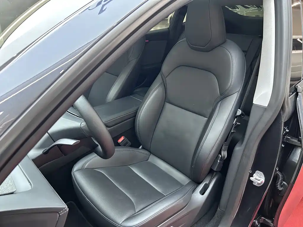 Tesla Model Y — миниатюра 32
