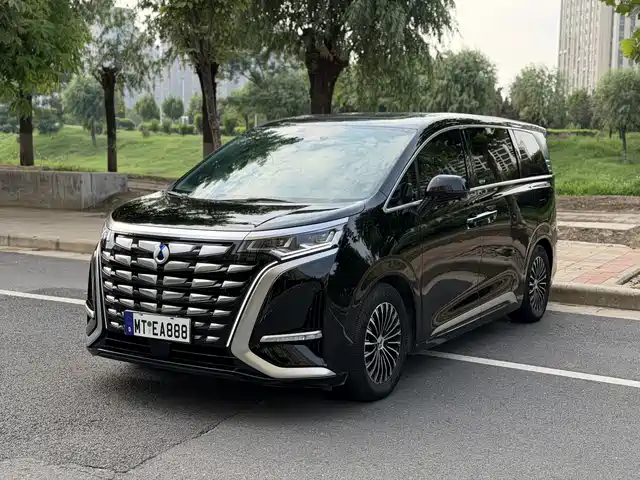 Denza D9