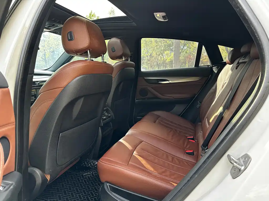BMW X6 — миниатюра 4