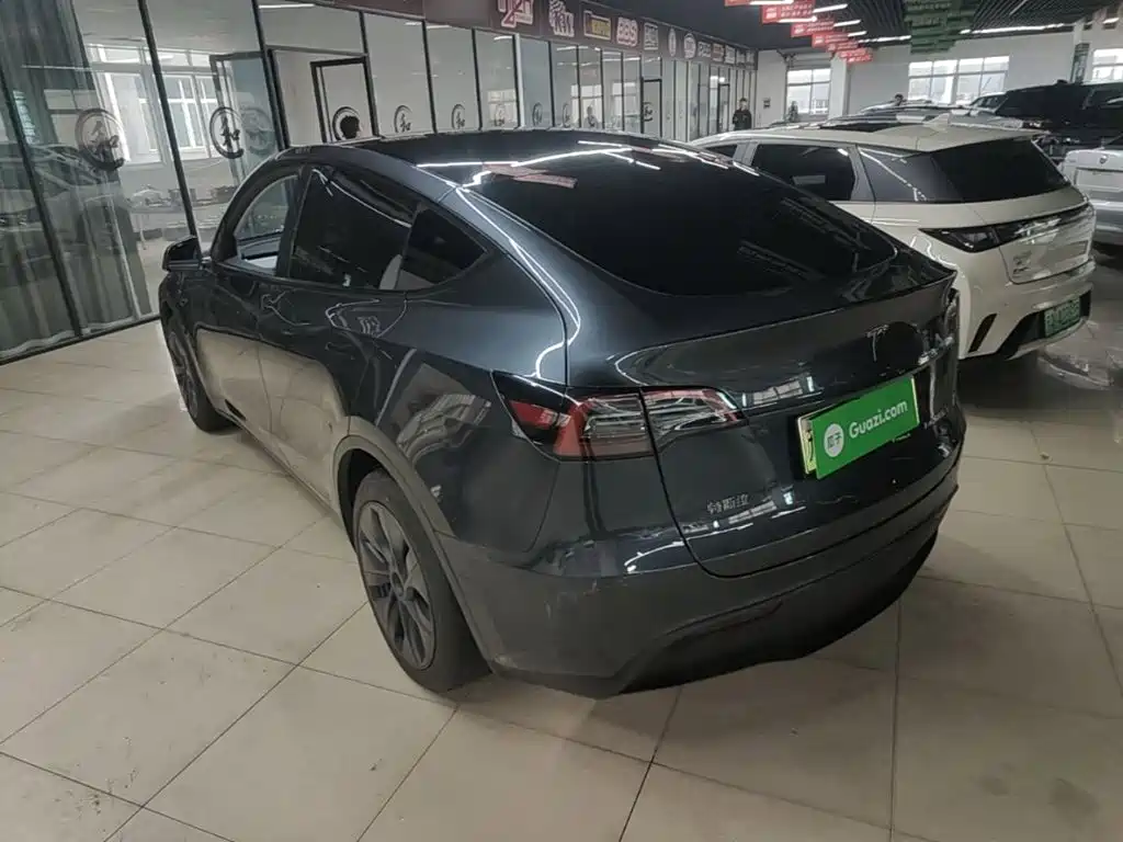 Tesla Model Y — миниатюра 5