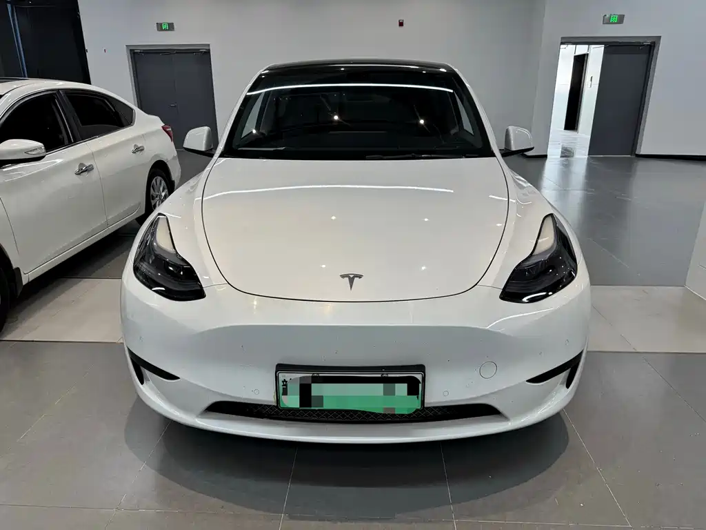 Tesla Model Y — миниатюра 2