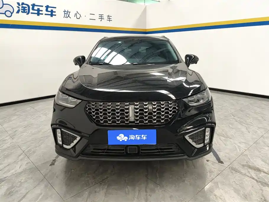 WEI PAI WEI BRAND VV5