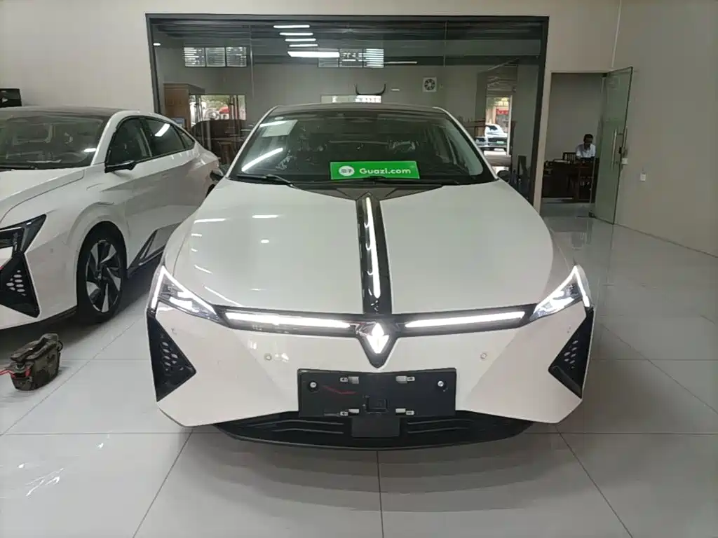 Lingxi Lingxi L — миниатюра 3