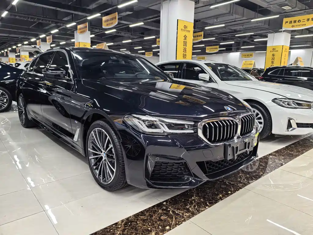 BMW 5 Series — миниатюра 3