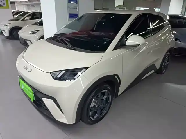 2025 BYD Seagull