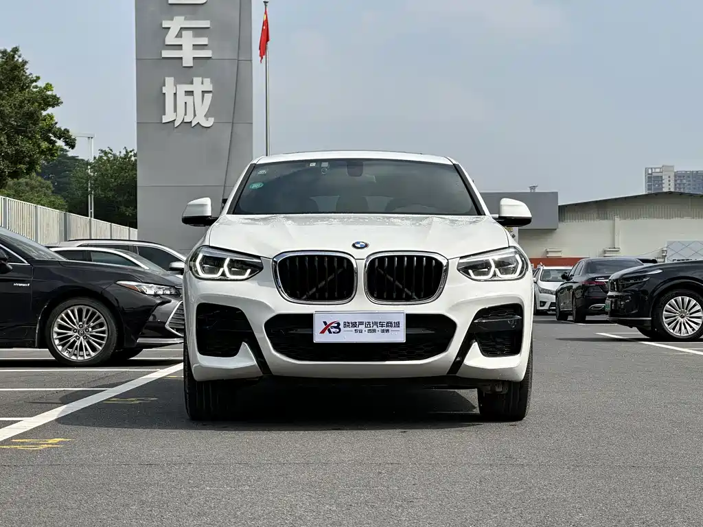 BMW X4 — миниатюра 2