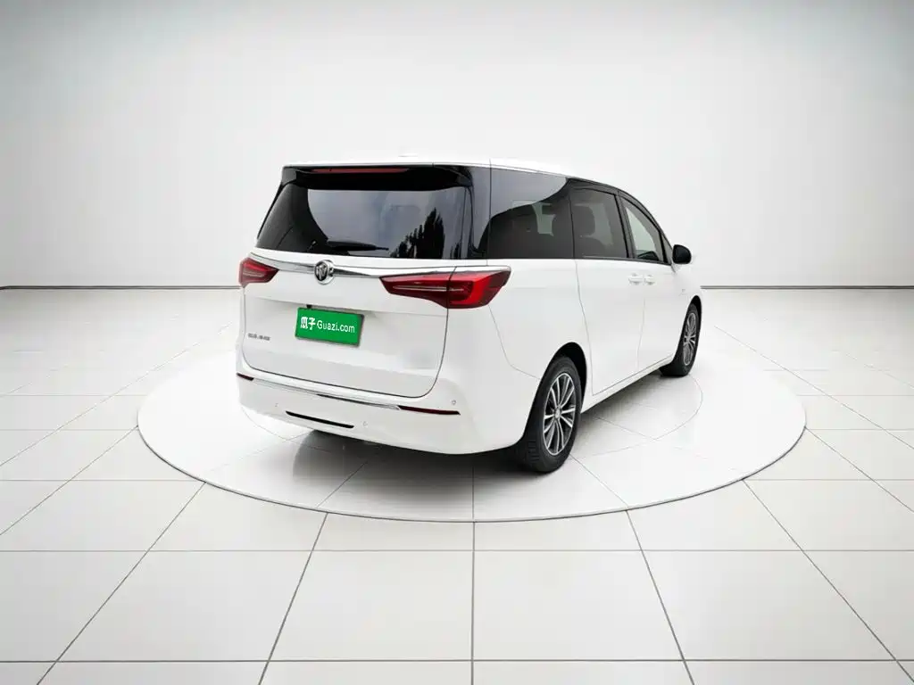 Buick GL8 — миниатюра 6
