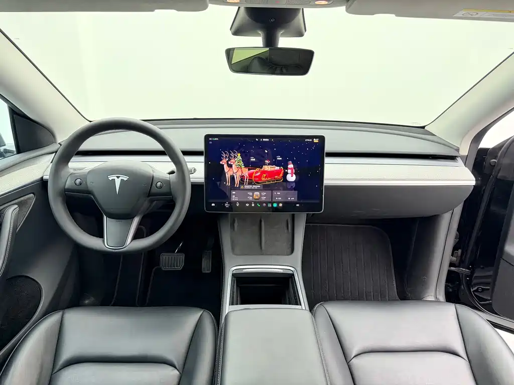Tesla Model Y — миниатюра 10