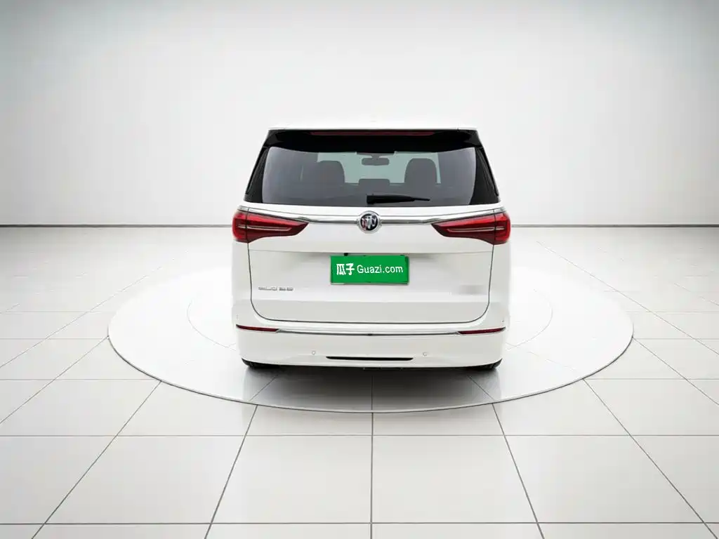 Buick GL8 — миниатюра 5