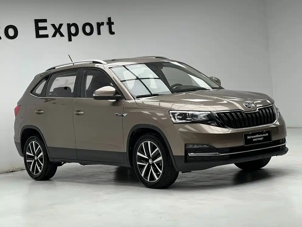 Skoda Kamiq — миниатюра 3