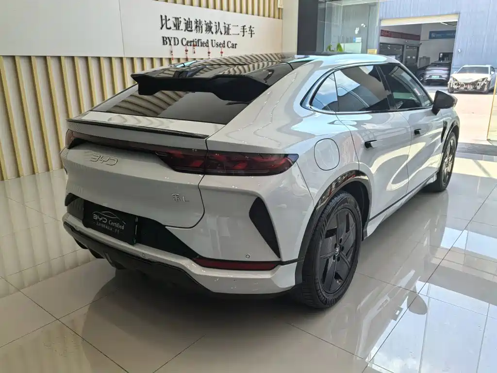 BYD L EV — миниатюра 6