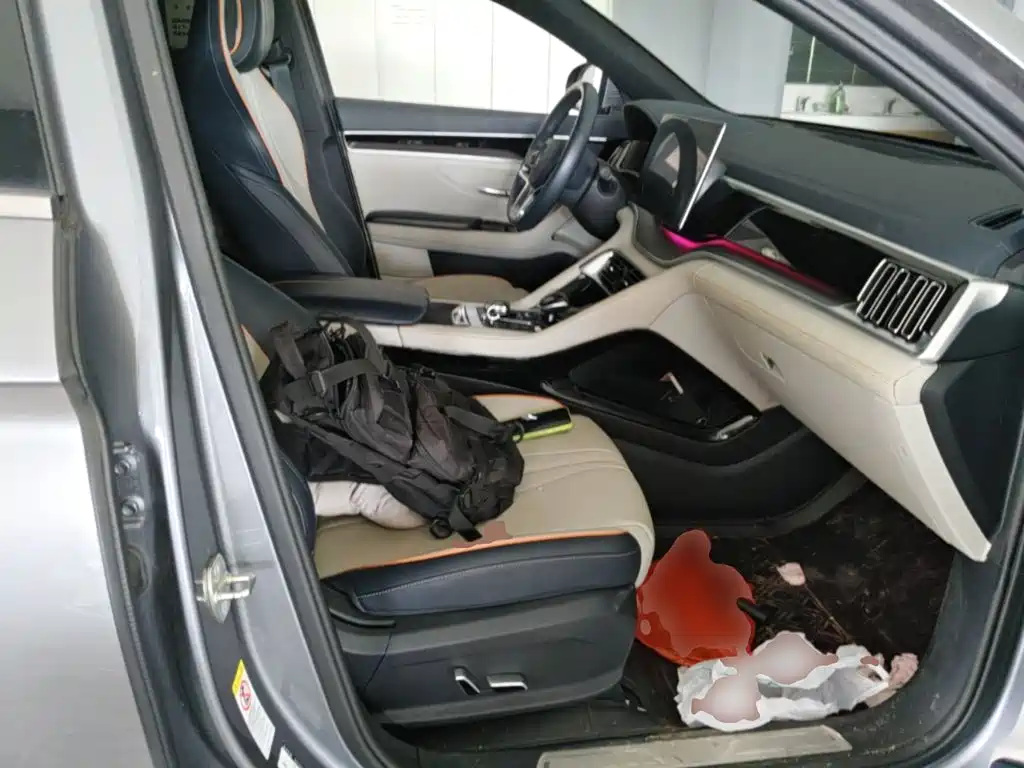 BYD PLUS New Energy — миниатюра 25