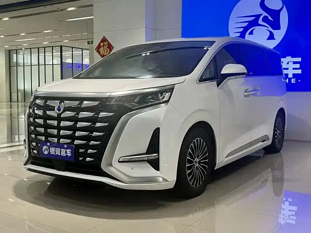 2024 Denza D9