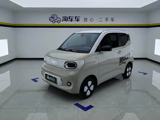 2024 Wuling Motors Hongguang Mini EV