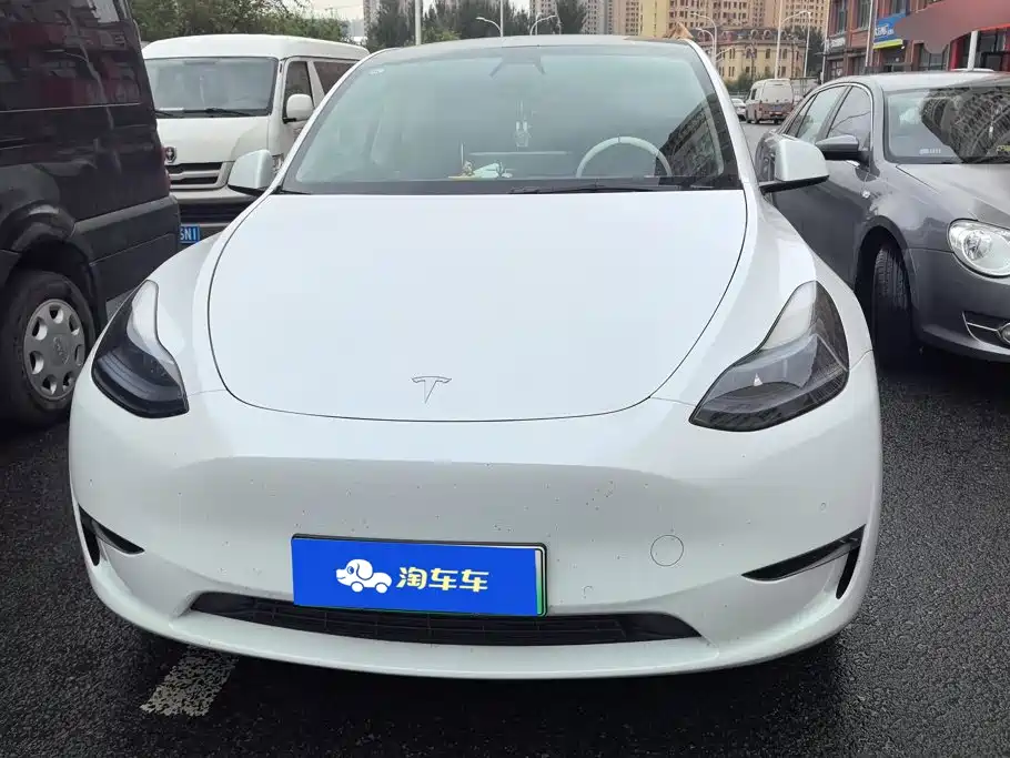 Tesla Model Y — миниатюра 2