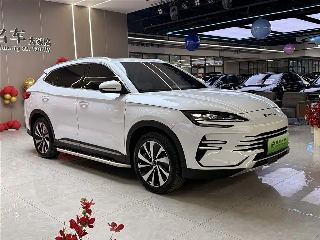 BYD SONGJIANG NEW ENERGY