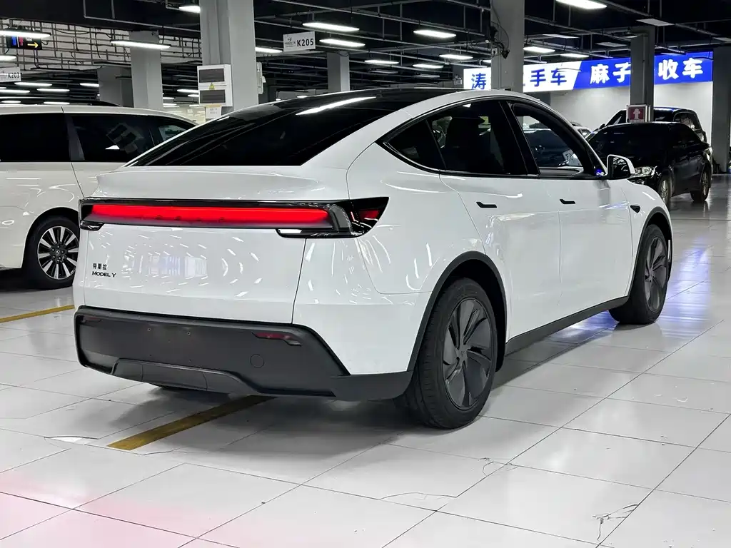 Tesla Model Y — миниатюра 8