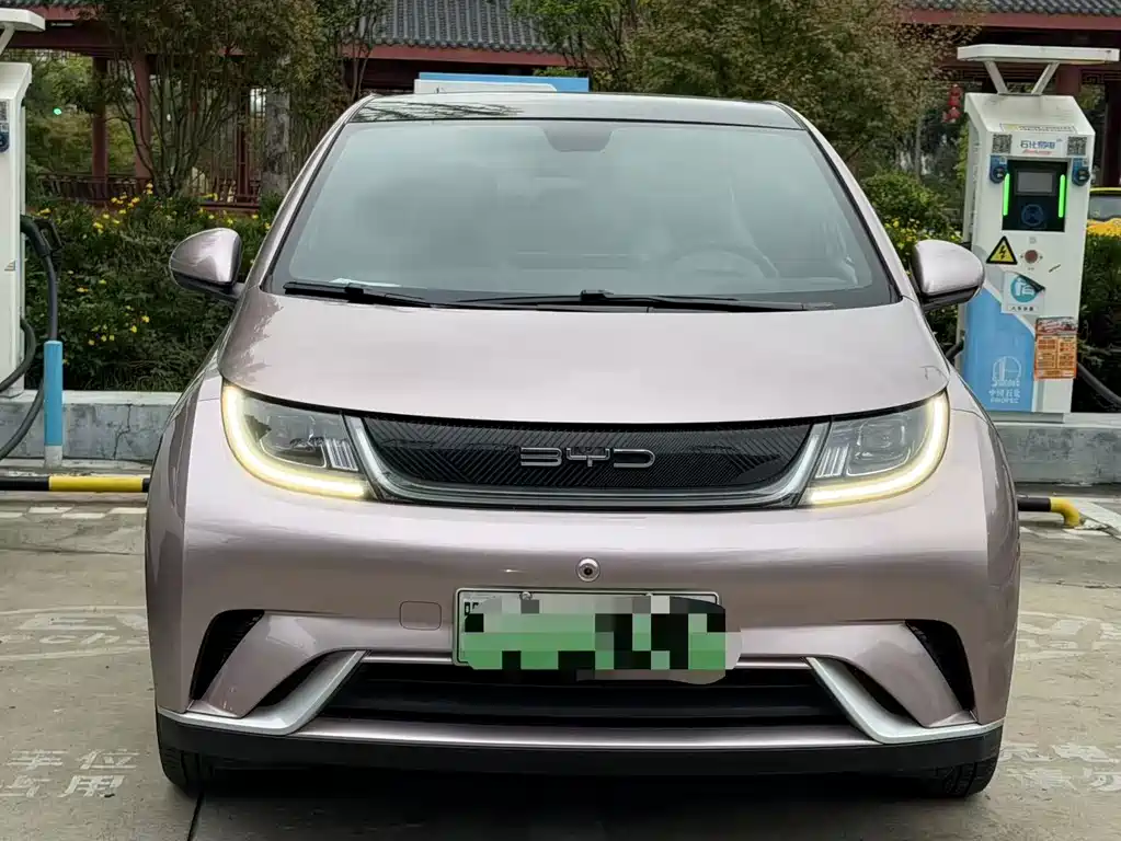 BYD Dolphin — миниатюра 2