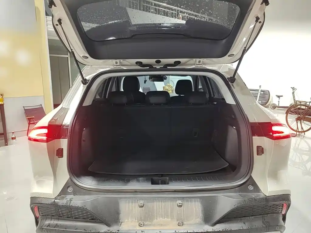 Baojun Yunhai — миниатюра 19