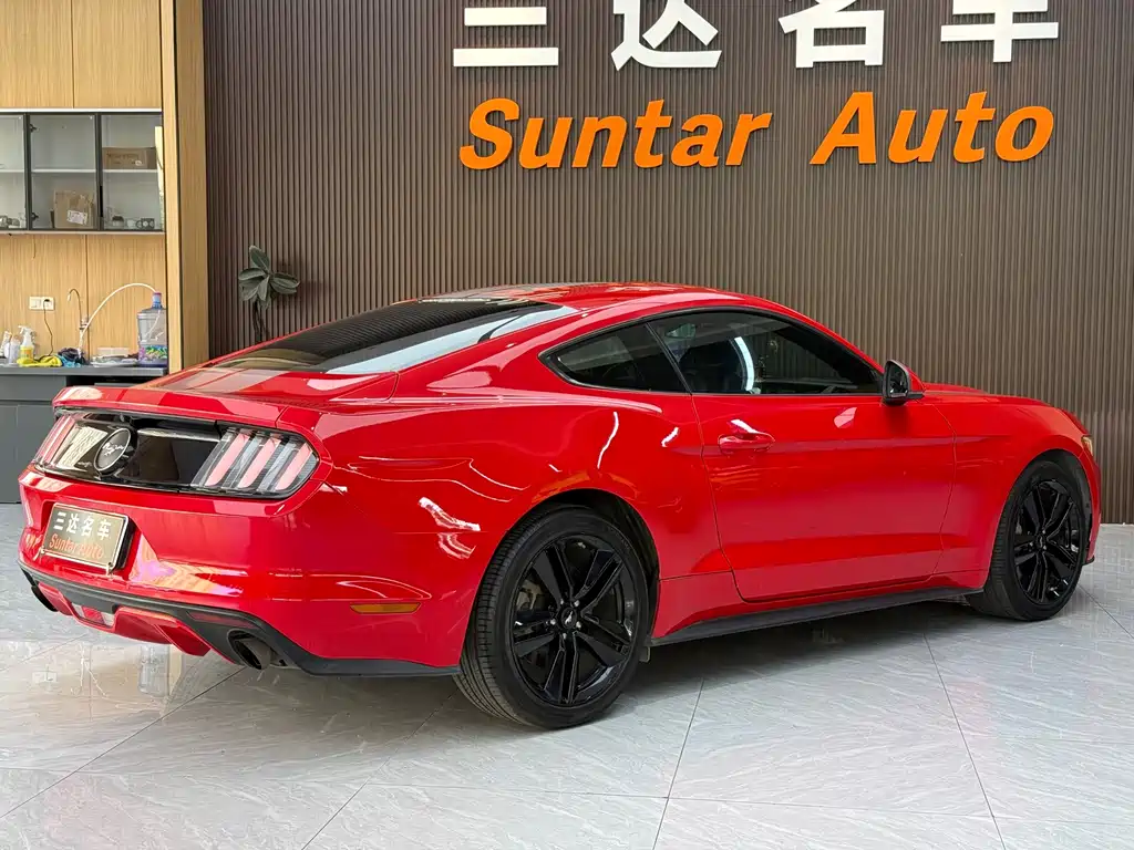Ford Mustang — миниатюра 21