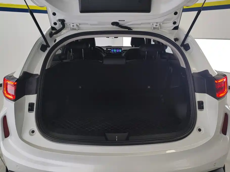 Haval Chitu — миниатюра 4