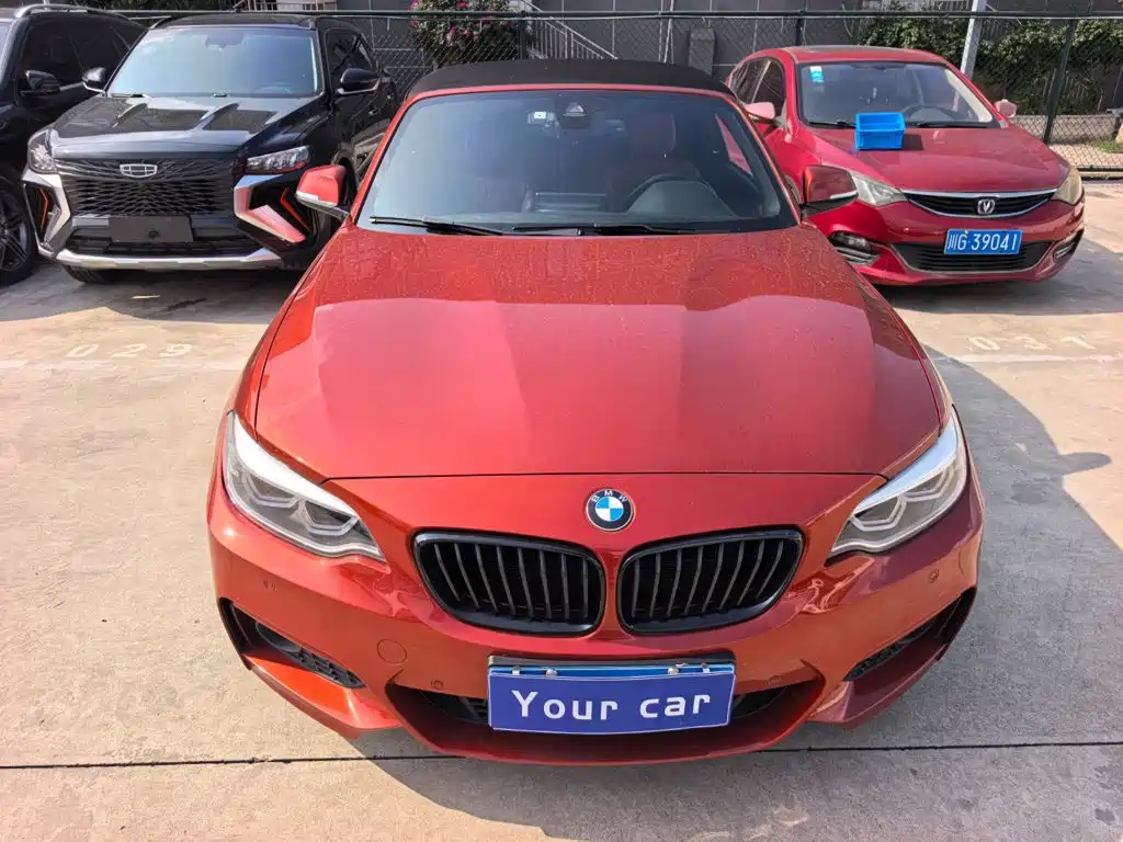 BMW 2 Series (Import) — миниатюра 2