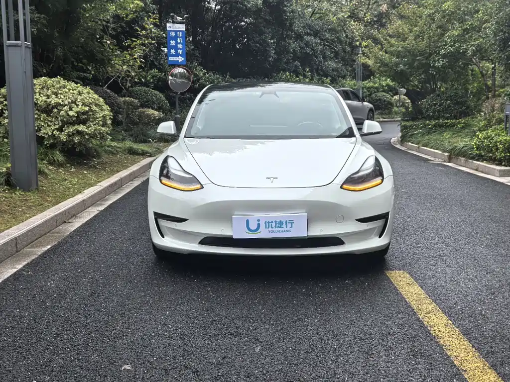 Tesla Model 3 — миниатюра 2