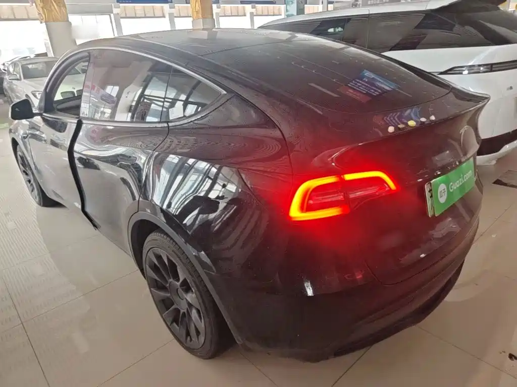 Tesla Model Y — миниатюра 5