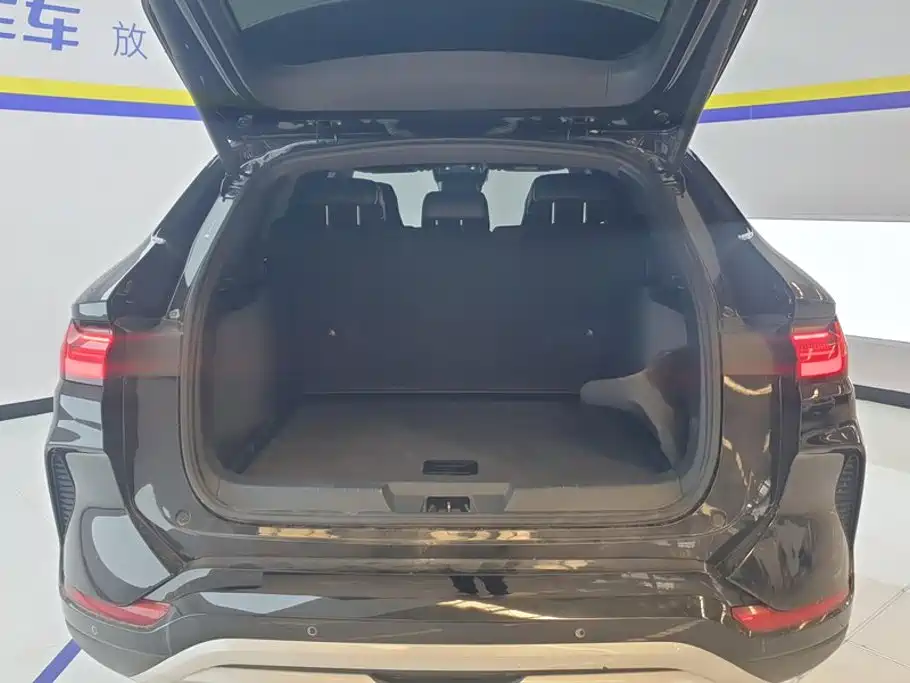 BYD PLUS New Energy — миниатюра 4