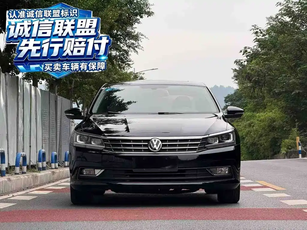 Volkswagen Passat — миниатюра 2