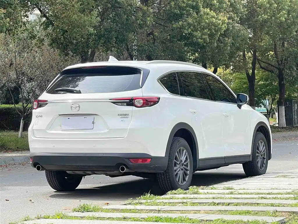 Mazda CX-8 2019 2.5L Luxury