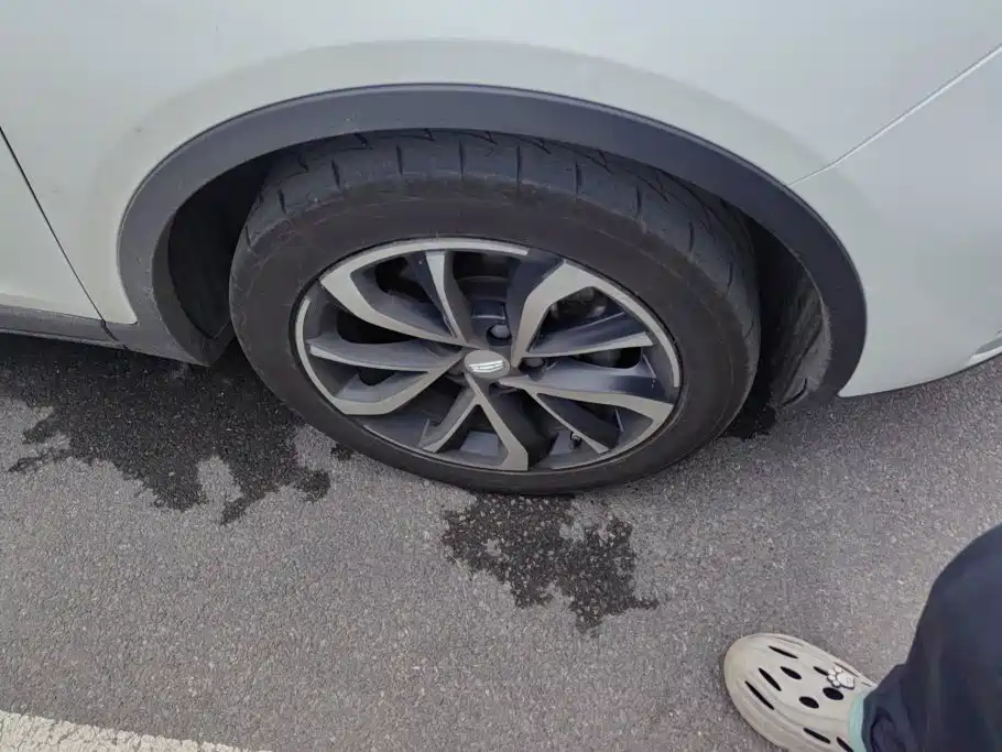 Geely Emgrand GS — миниатюра 6