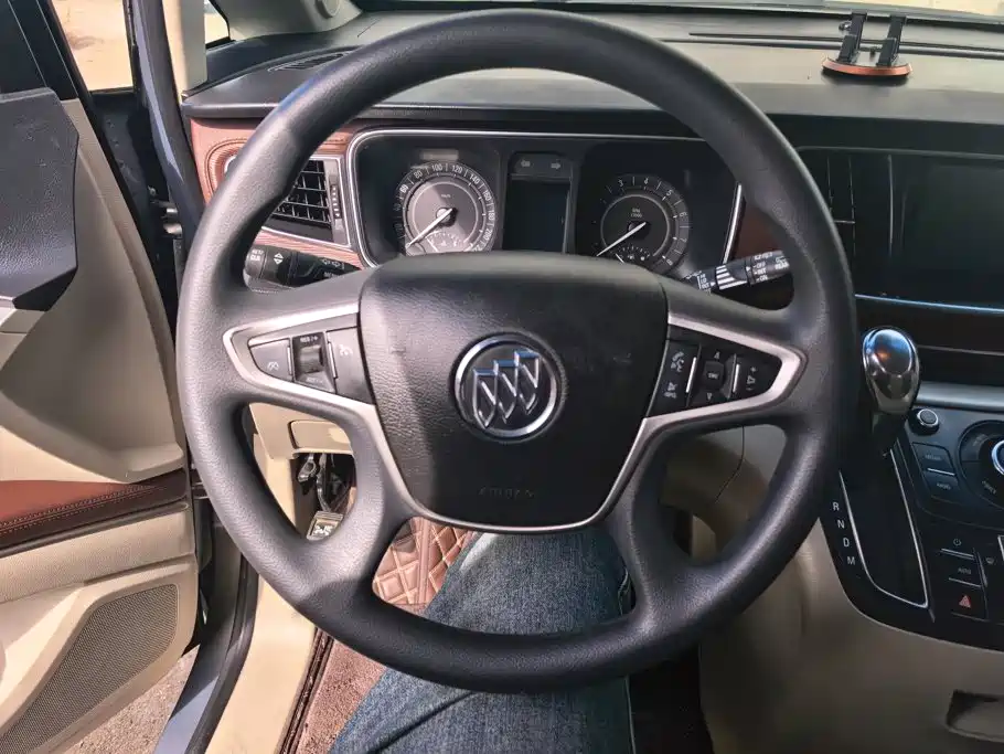 Buick GL8 — миниатюра 15