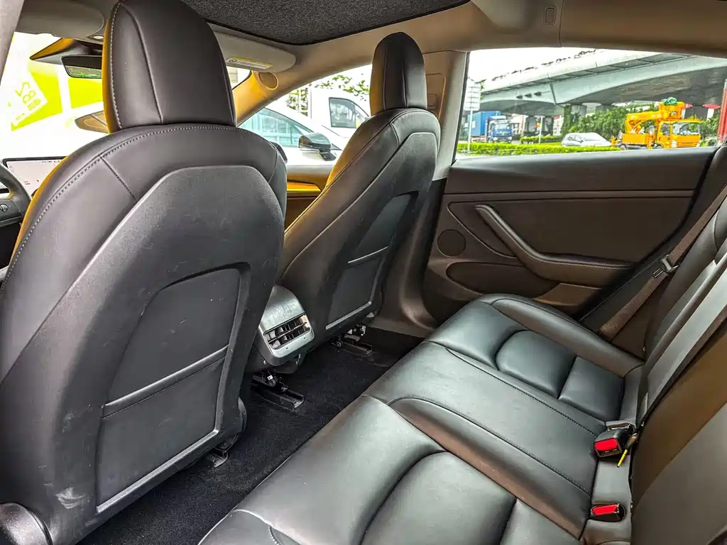 Tesla Model 3 2021 3D6