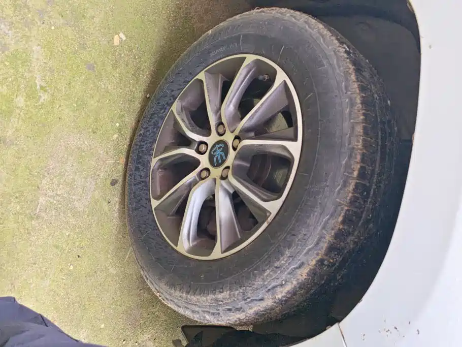 BYD Song — миниатюра 6