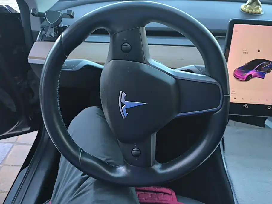 Tesla Model 3 — миниатюра 15