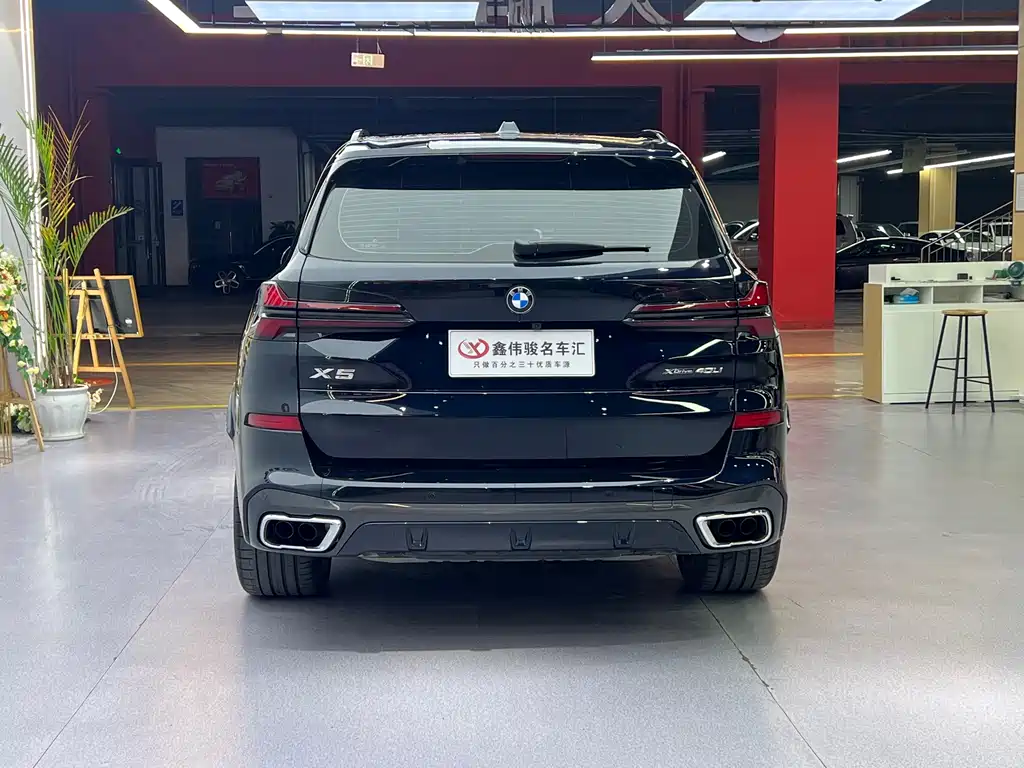 BMW X5 — миниатюра 15