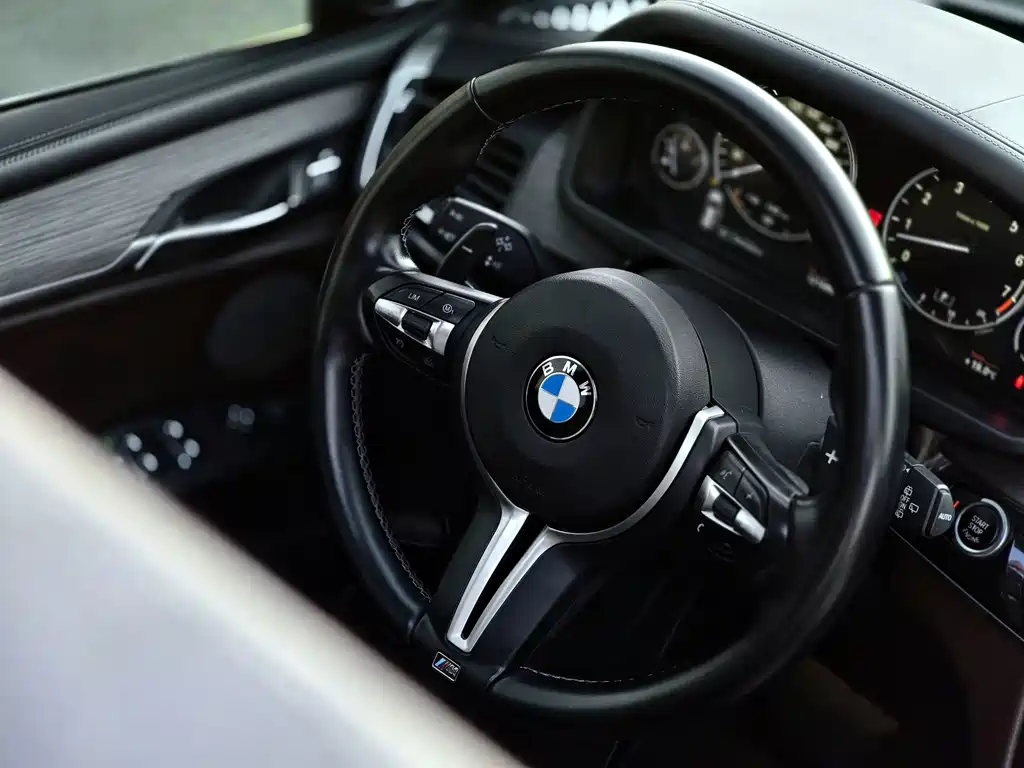 BMW X5 (Import) — миниатюра 10