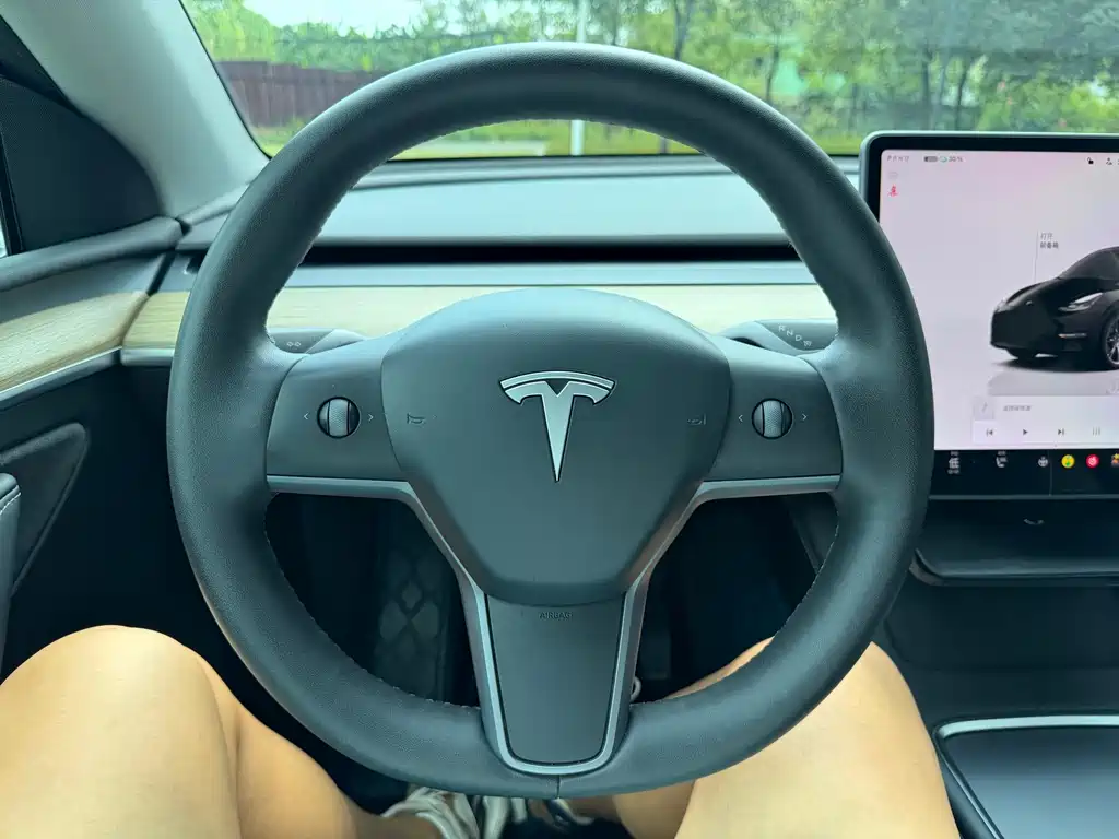 Tesla Model Y — миниатюра 11