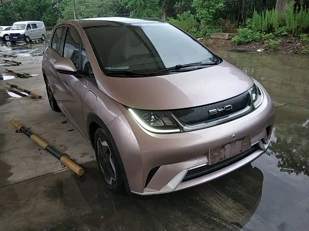 BYD Dolphin — миниатюра 4