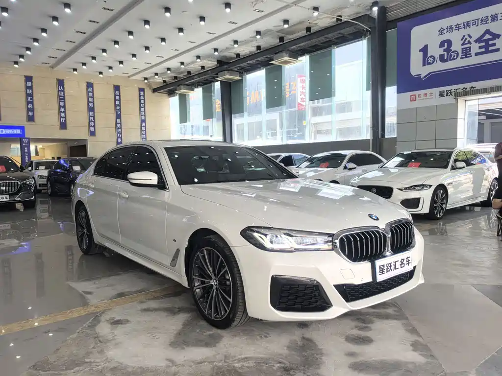 BMW 5 Series — миниатюра 8