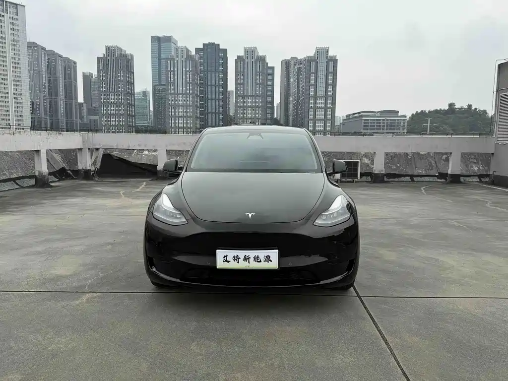 Tesla Model Y — миниатюра 2
