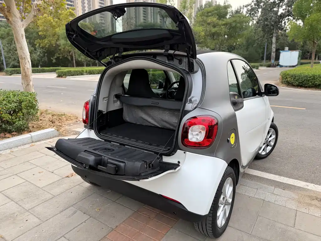 smart Smart Fortwo — миниатюра 17