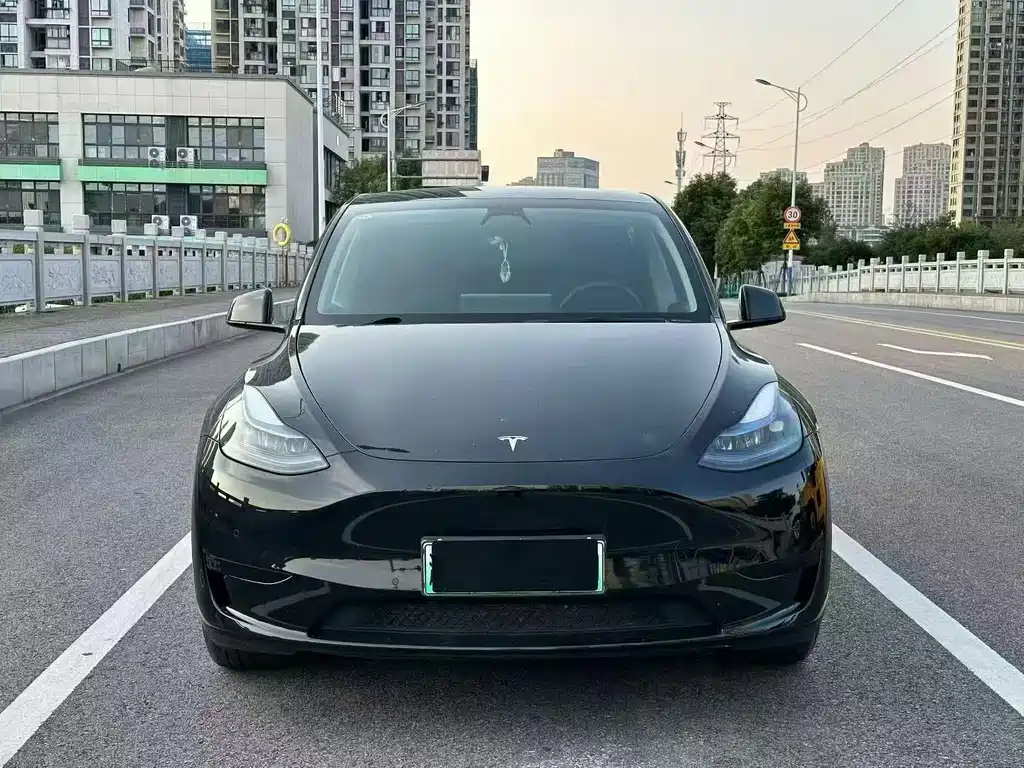 Tesla Model Y — миниатюра 2