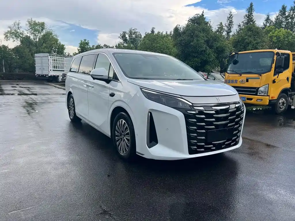 BYD Xia — миниатюра 2