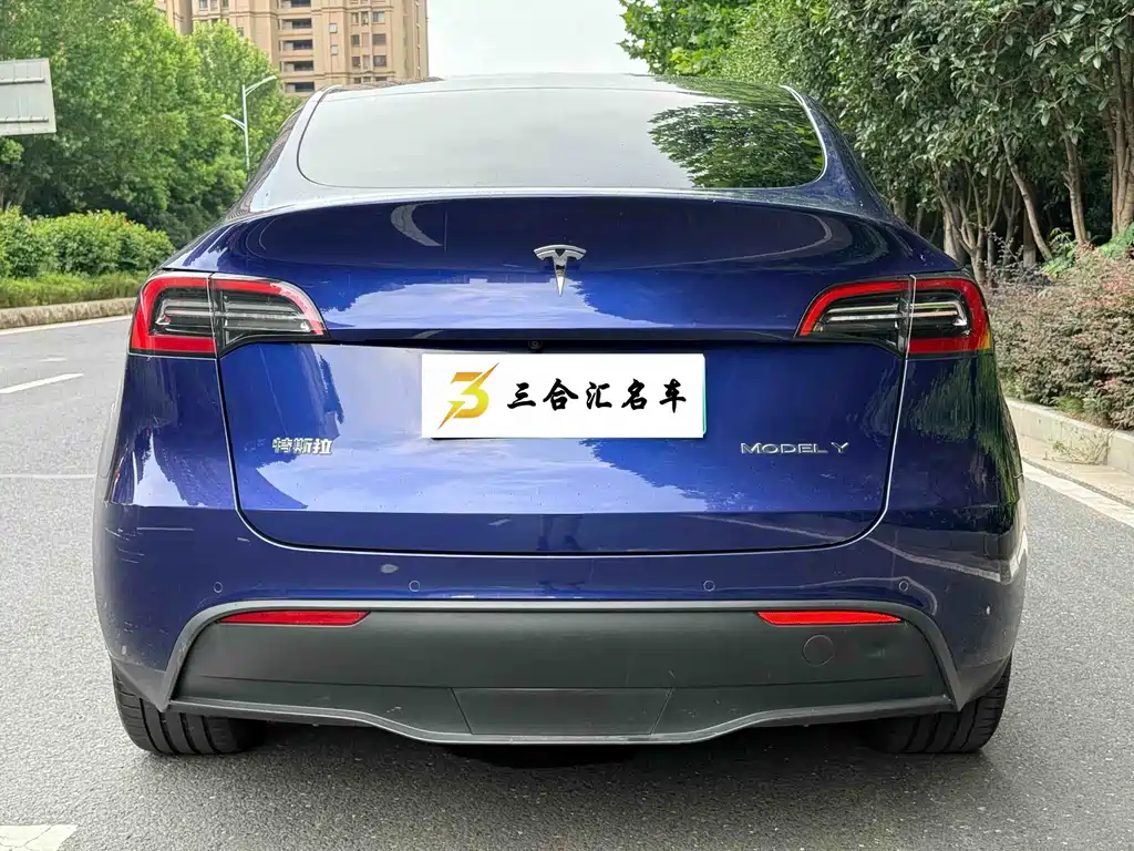 Tesla Model Y — миниатюра 9