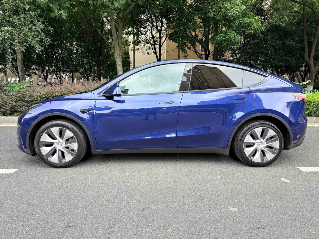 Tesla Model Y — миниатюра 5